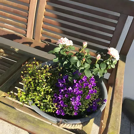 Ostseeperle Holiday home